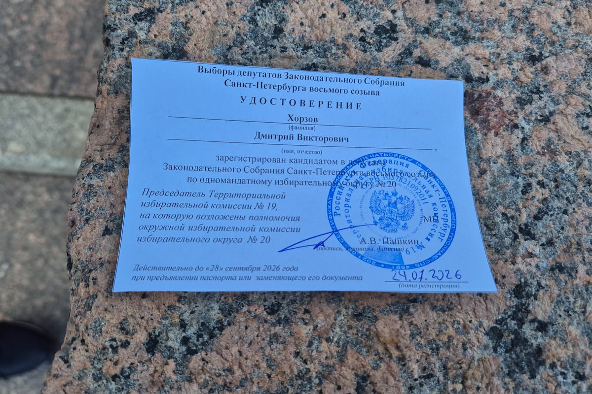 Дмитрия Хорзова зарегистрировали кандидатом в парламент Петербурга
